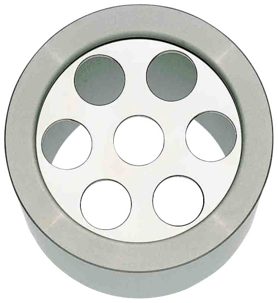 Bild 1 Einsatz Spargel | für Spaghetti-Eis-Presse