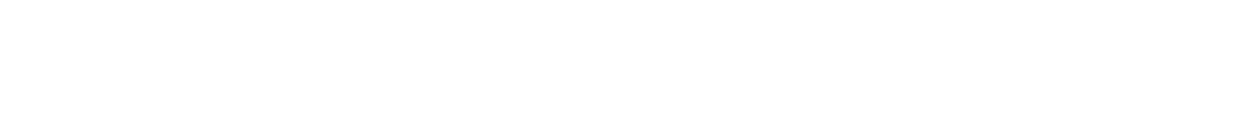 diamant-grill-logo