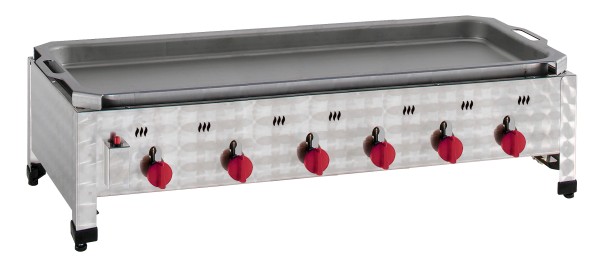 Bild 1 Gas-Kombi-Tischbräter 6